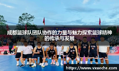 彩神VI首页