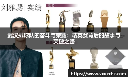 武汉排球队的奋斗与荣耀：精英赛背后的故事与突破之路